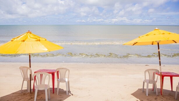 Een strand met twee gele parasols en witte plastic stoelen.