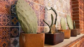 Una fila di cactus in vaso davanti a una parete piastrellata.