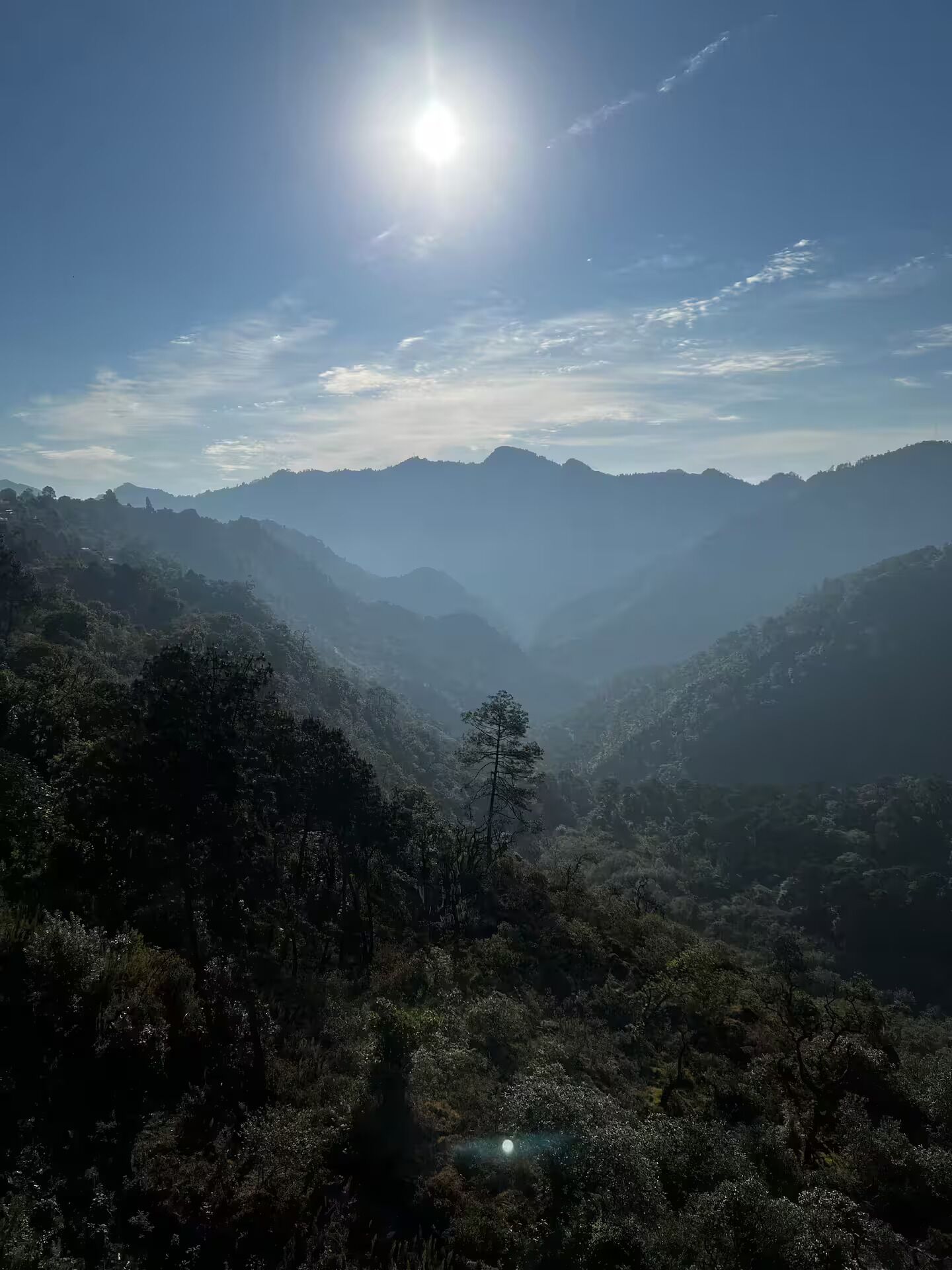 A mountainous landscape with dense forest and a clear sky.