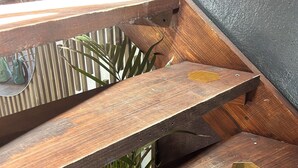 Una escalera de madera con barandilla de metal, rodeada de follaje.