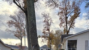 A hammock tied to a tree, a house with a porch, and a yard with fallen leaves. - 2 bedroom and Den with a Pullout Double (Colonial Beach)