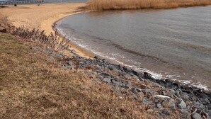 A beach with a rocky shoreline, a wooden pier, and a grassy area with reeds. - 2 bedroom and Den with a Pullout Double (Colonial Beach)