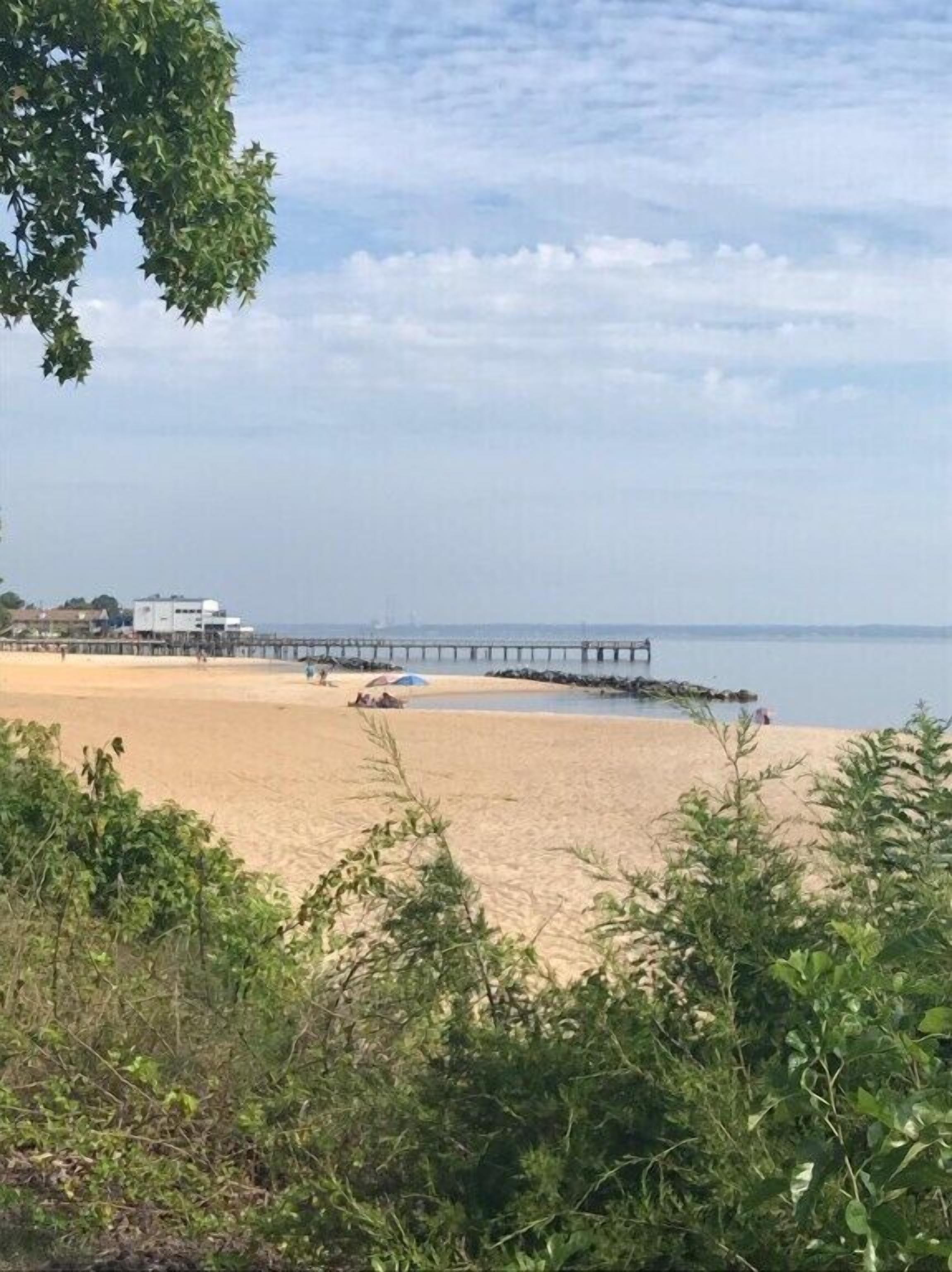 Una playa con un muelle que se adentra en el agua, rodeada de vegetación.