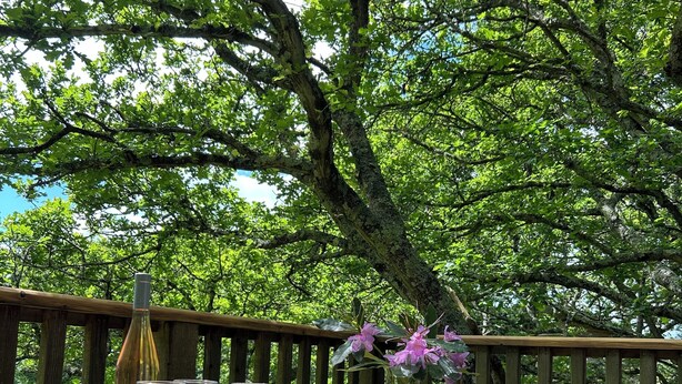 A wooden deck with a table set for dining, surrounded by lush greenery. - Beautiful handbuilt Treehouse sleeps 2-6 (Wootton Bridge)