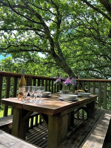 Beautiful handbuilt Treehouse sleeps 2-6