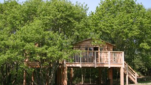 A wooden treehouse with a deck and stairs, surrounded by dense green trees. - Beautiful handbuilt Treehouse sleeps 2-6 (Wootton Bridge)