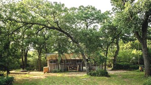Ein rustikales Blockhaus, umgeben von dichtem Baumbestand in einem Waldgebiet.