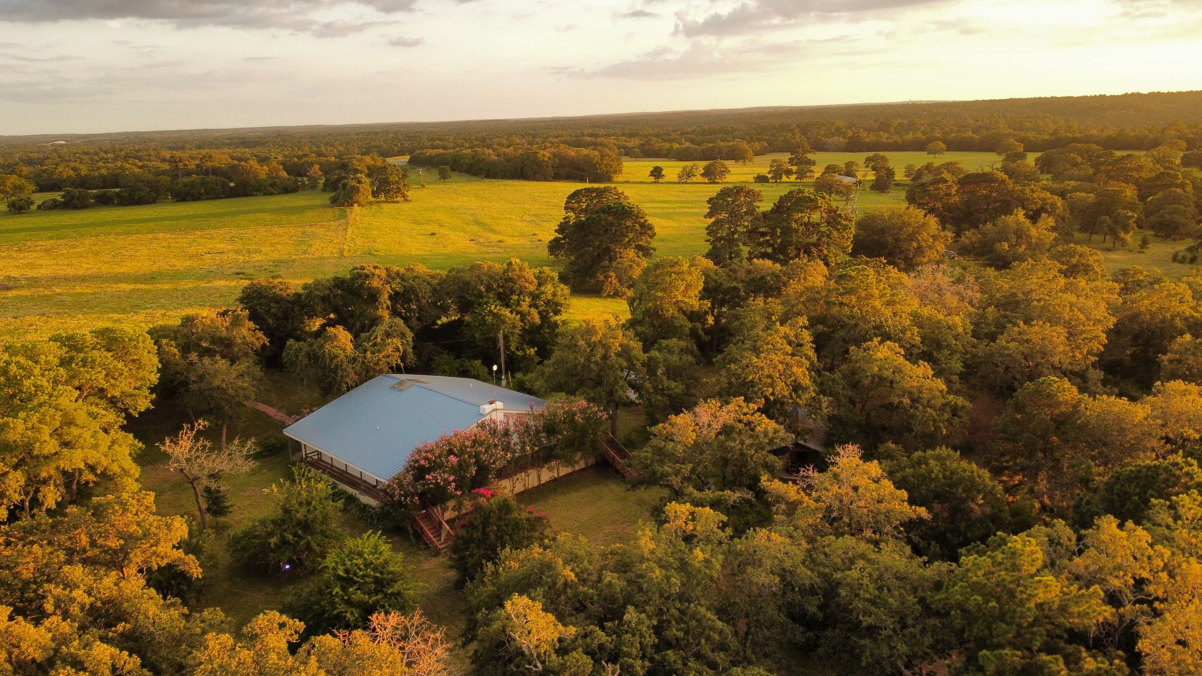 A large, open field with a single building surrounded by dense trees.