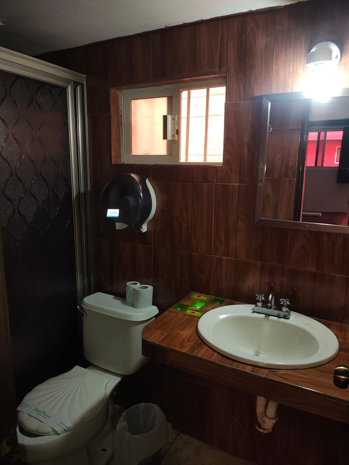 A bathroom with a toilet, sink, and mirror.