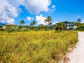 Property grounds - Sanibel Beach Club 2 Beachfront 2BR Escape (Sanibel)