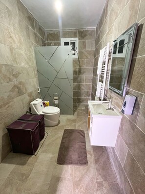 Shower, towels, soap, toilet paper