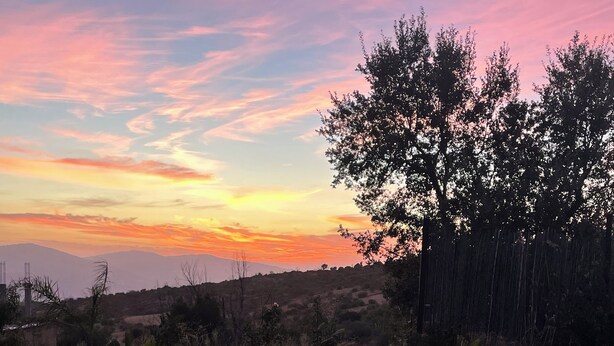 A swimming pool with a tiled edge, surrounded by vegetation and trees, under a sunset sky.