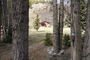 Ein bewaldetes Gebiet mit einer roten Holzhütte und einem kleinen Haus im Hintergrund.