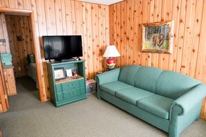 Ein Zimmer mit Holzwänden, einem grünen Sofa, einem Fernseher auf einem Schrank und einer Lampe.