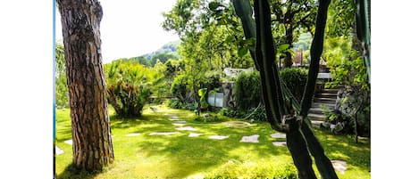 A garden with a large tree, stepping stones, and a stone pathway.