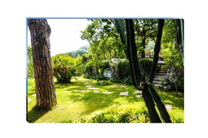 Overnatningsstedets område