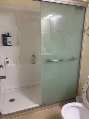 Secadora de cabello, toallas, jabón, papel de baño
