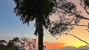 Vista de un agua tranquila con un atardecer al fondo, rodeada de árboles y una barandilla de metal.