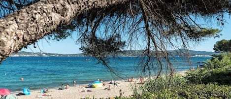 Playa en los alrededores