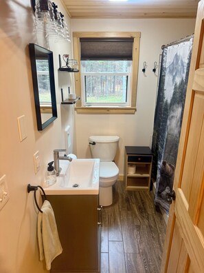 Shower, hair dryer, towels, toilet paper