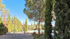 Un sendero pavimentado bordeado de árboles y arbustos de hoja perenne que conduce a una zona de piscina.