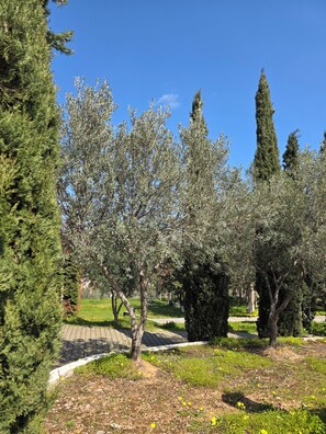 Property grounds - Mediterraneo Retreat Villa– Attica, Temple of Poseidon, Lavrio, Athens Airport (RX37+W67 Keratea)