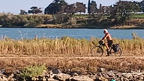 Una persona in bicicletta su un sentiero lungo un corso d'acqua, con alberi e un campo sullo sfondo.