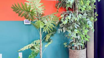 A room with a blue wall, a red stripe, and a potted plant with broad leaves.