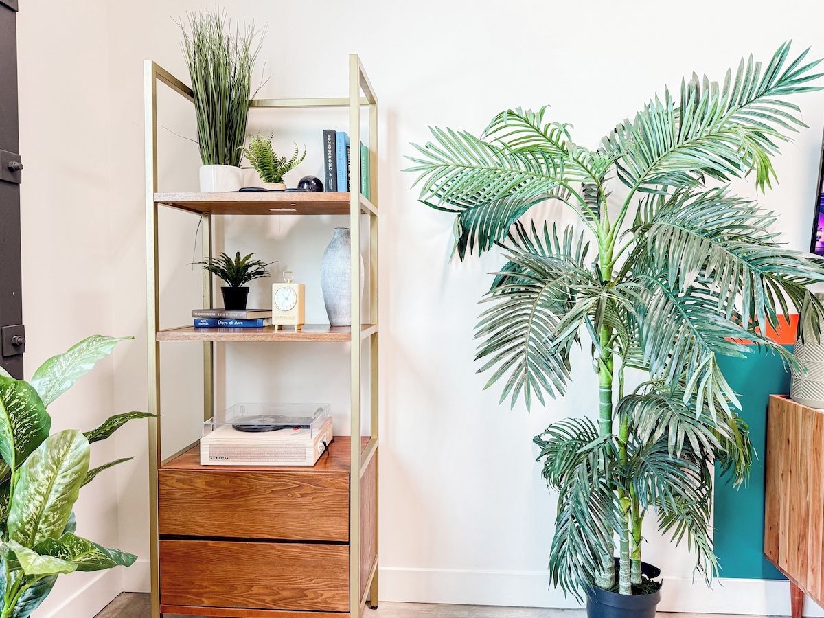 A room with a wooden bookshelf, a potted plant, and a large indoor plant.