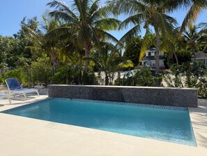 Pool - Luxury Grace Bay Villa 2/private pool/steps to reef&beach for 6 (The Bight Settlement)