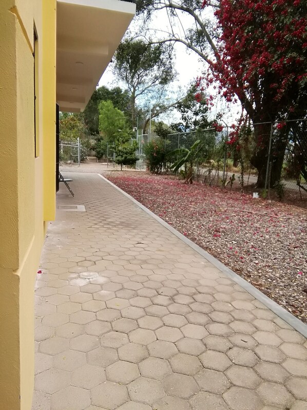 Un sendero pavimentado con un edificio amarillo a un lado y una cerca con flores rojas al otro.