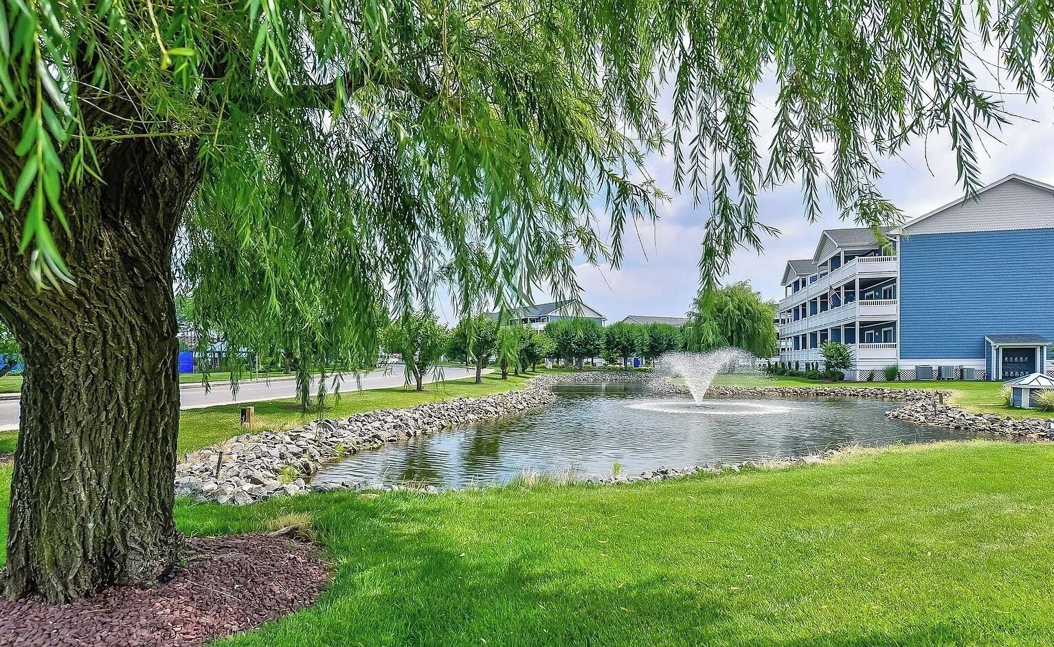 Terrein van de accommodatie