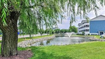 Terrein van de accommodatie