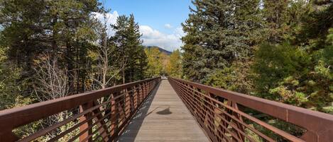 A wooden pedestrian bridge with metal railings, surrounded by dense coniferous forest.