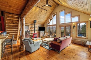 Living area - Emerald Lookout - Views, Hot Tub, Trails Right Next Door (Steamboat Springs)