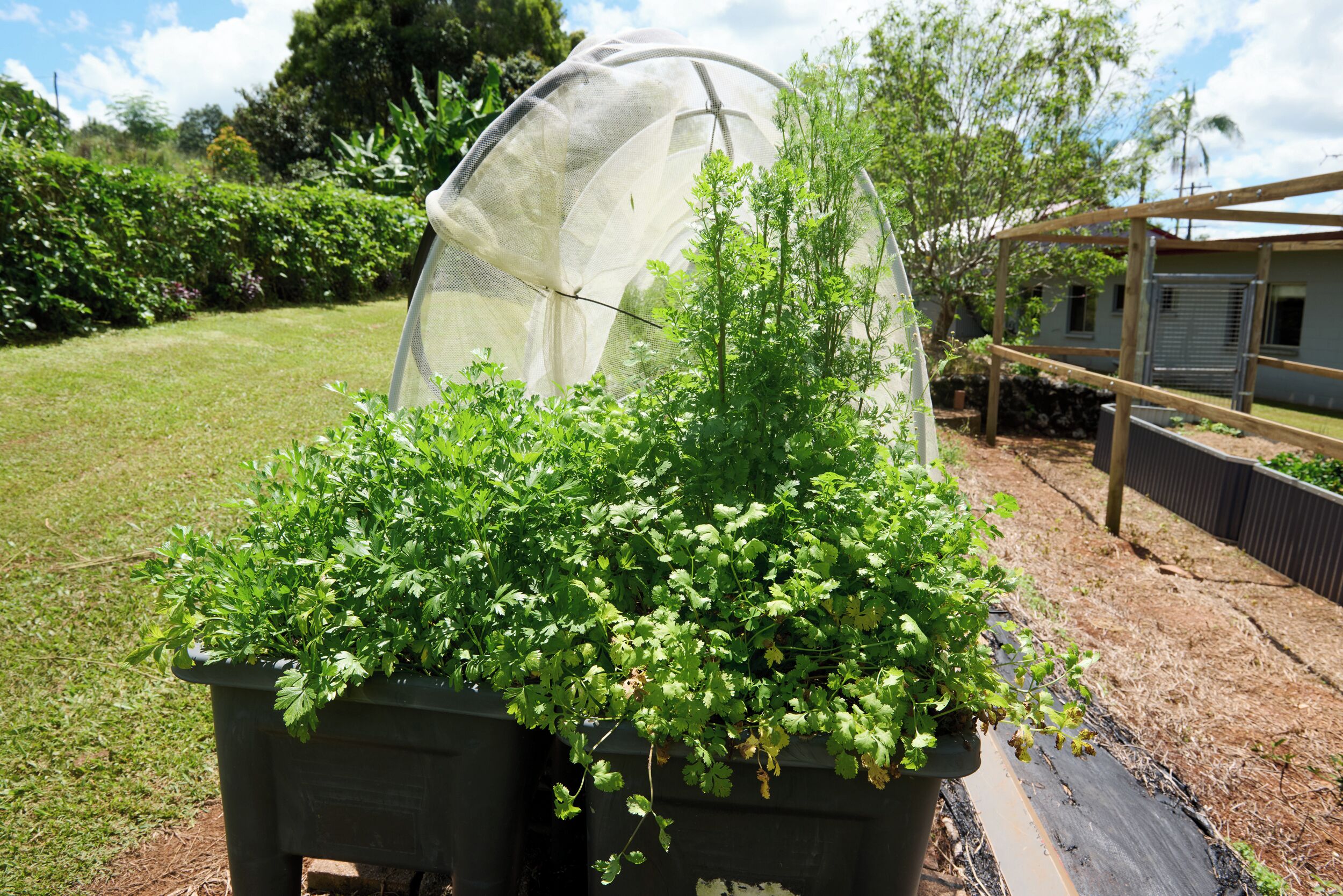 Áreas de la propiedad