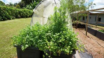 Áreas de la propiedad