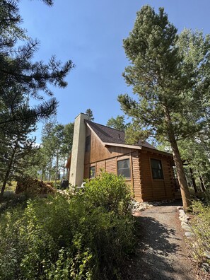 Eine Blockhütte mit geneigtem Dach, umgeben von dichtem Wald.