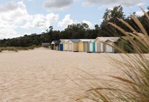 Beach - McCrae Beach House Fully Renovated - Short Walk to Beach - Pet Friendly (McCrae)