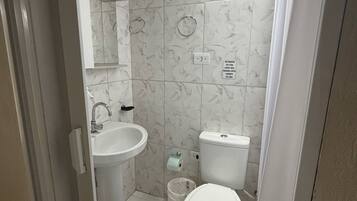 Un baño con lavamanos, inodoro y ducha.