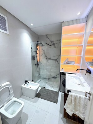 Regadera, secadora de cabello, bidet, toallas 