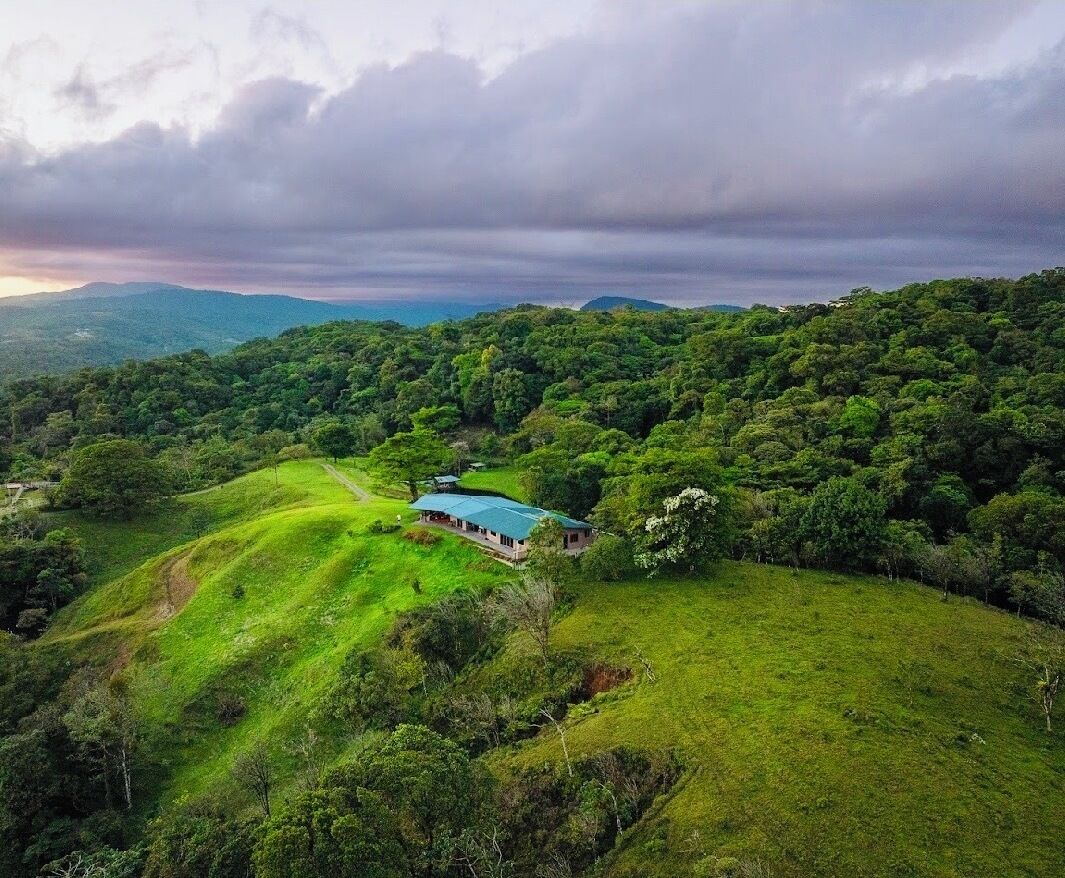 A house surrounded by lush greenery and hills.
