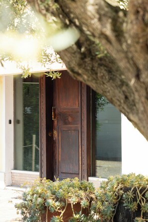 Detalle exterior