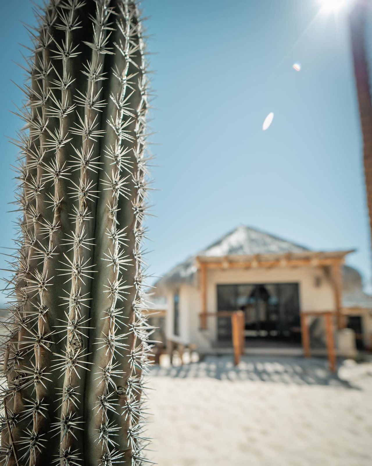 Basic Room, Balcony, Desert view | Exterior detail