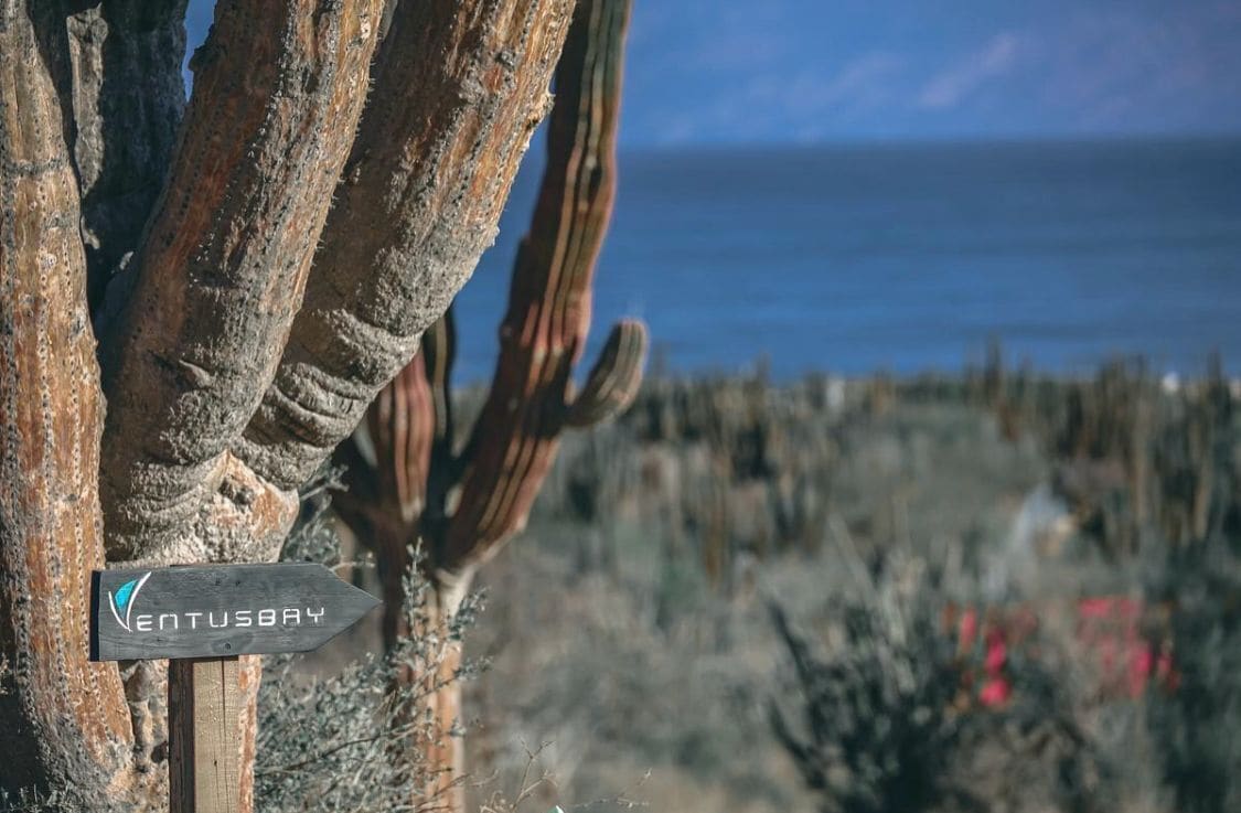 Uma placa de madeira com o texto 'VENTUSBRAY' em frente a um cacto.