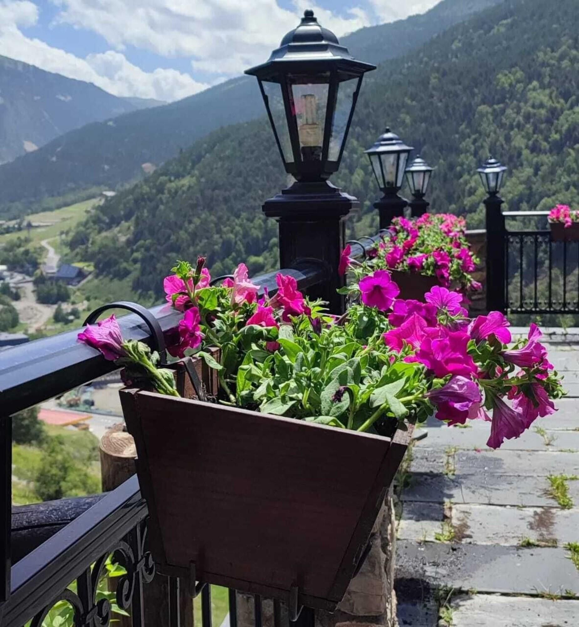 Un balcón con maceta de flores, barandilla y vista a la montaña.