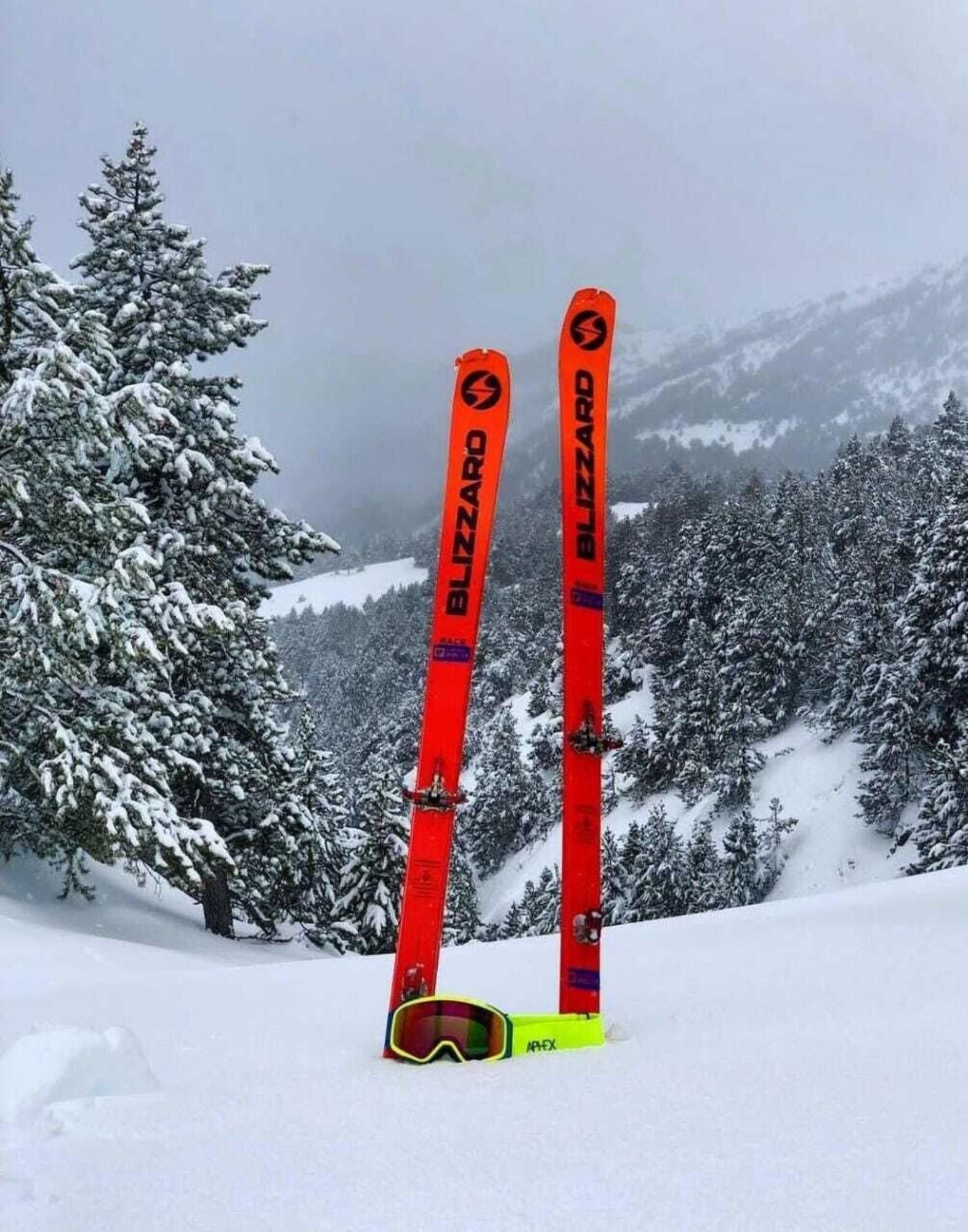 Two pairs of skis standing upright in the snow with a snowy forest and mountains in the background.