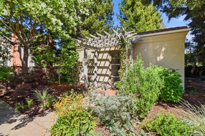 A garden with a wooden pergola, a small shed, and various plants. - Atherton Garden ADU in Silicon Valley (Atherton)