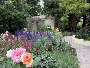 A garden with various flowers and a small building with a tiled roof. - Atherton Garden ADU in Silicon Valley (Atherton)