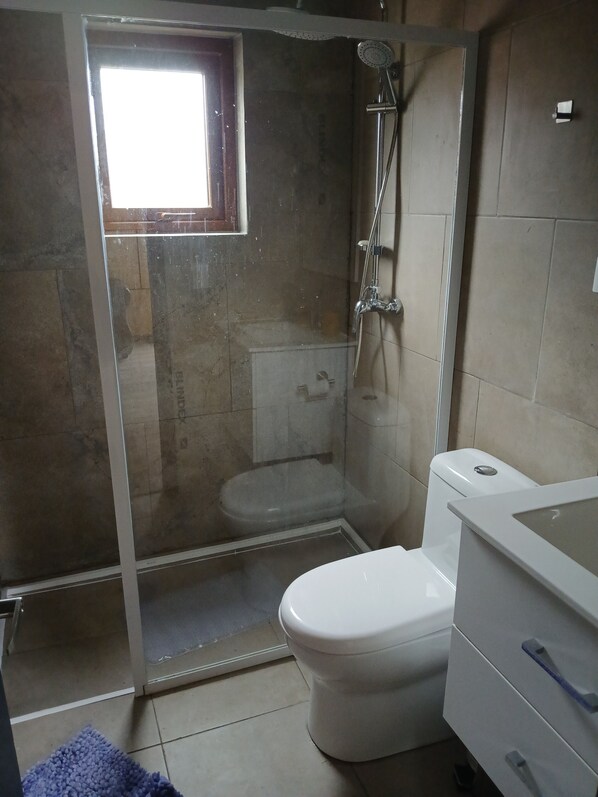 A bathroom with a glass-enclosed shower, a toilet, and a sink.
